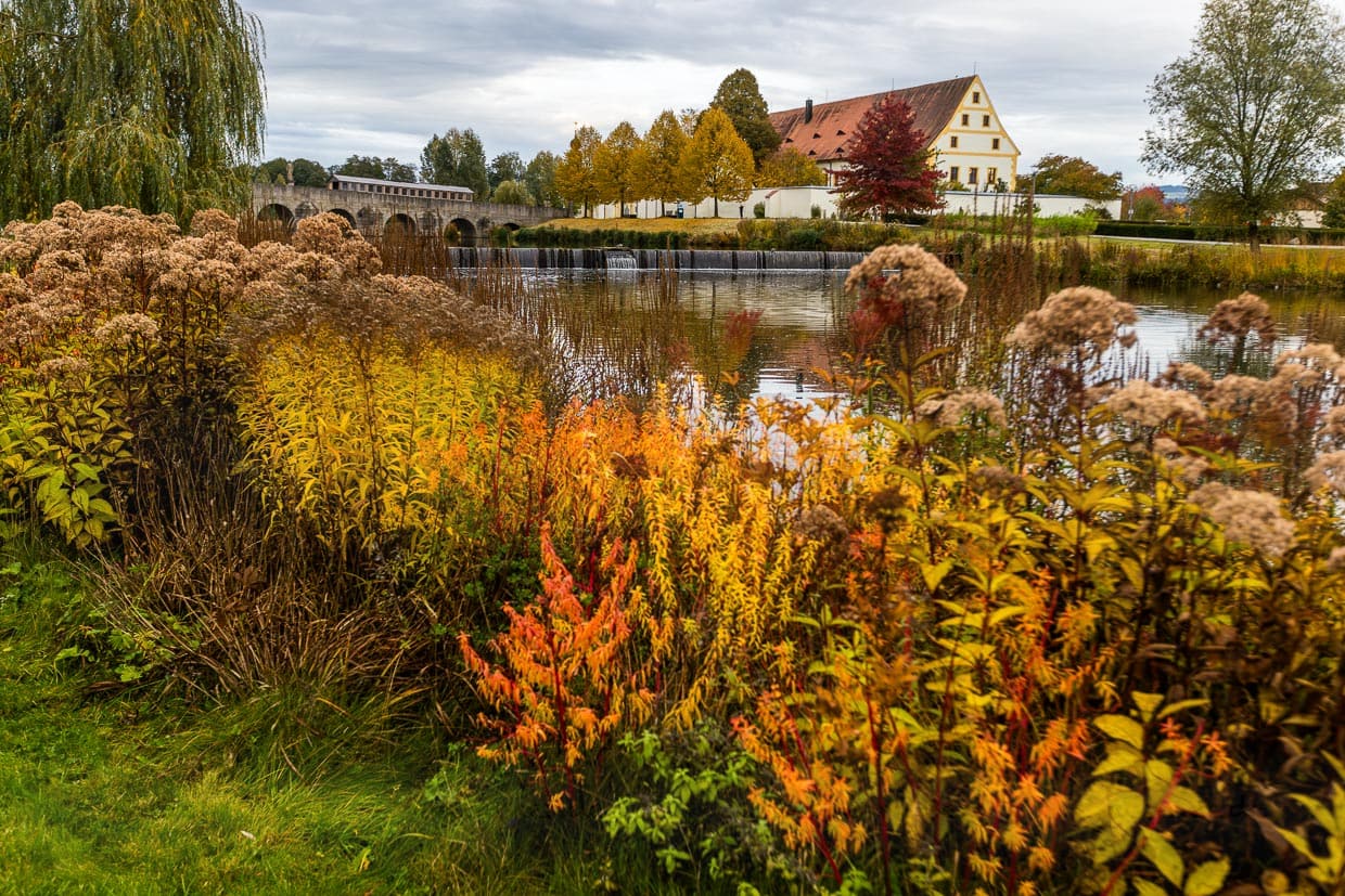 Herbstliche Uferpflanzen am Fischhofteich in Tirschenreuth. Mit Fischhof und Fischhofbrücke im Hintergrund. Im Mittelalter begannen Mönche im Stiftsland Waldsassen Karpfen als Fastenspeise zu züchten / © Foto: Georg Berg