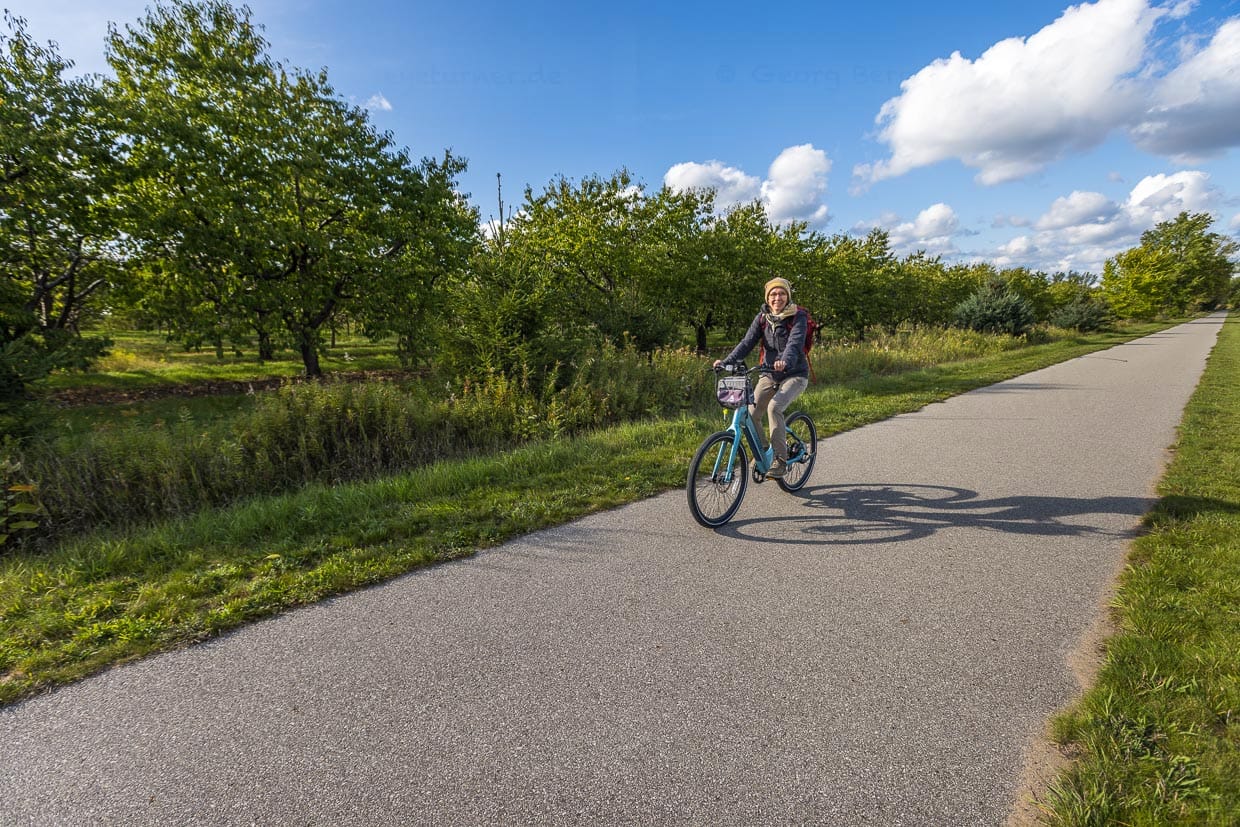 Fahrradtour auf dem Leelanau Trail. Der 27 km lange Freizeitweg an der Westseite von Traverse City bis nach Suttons Bay ist Teil der U.S. Bicycle Route 35 / © Foto: Georg Berg