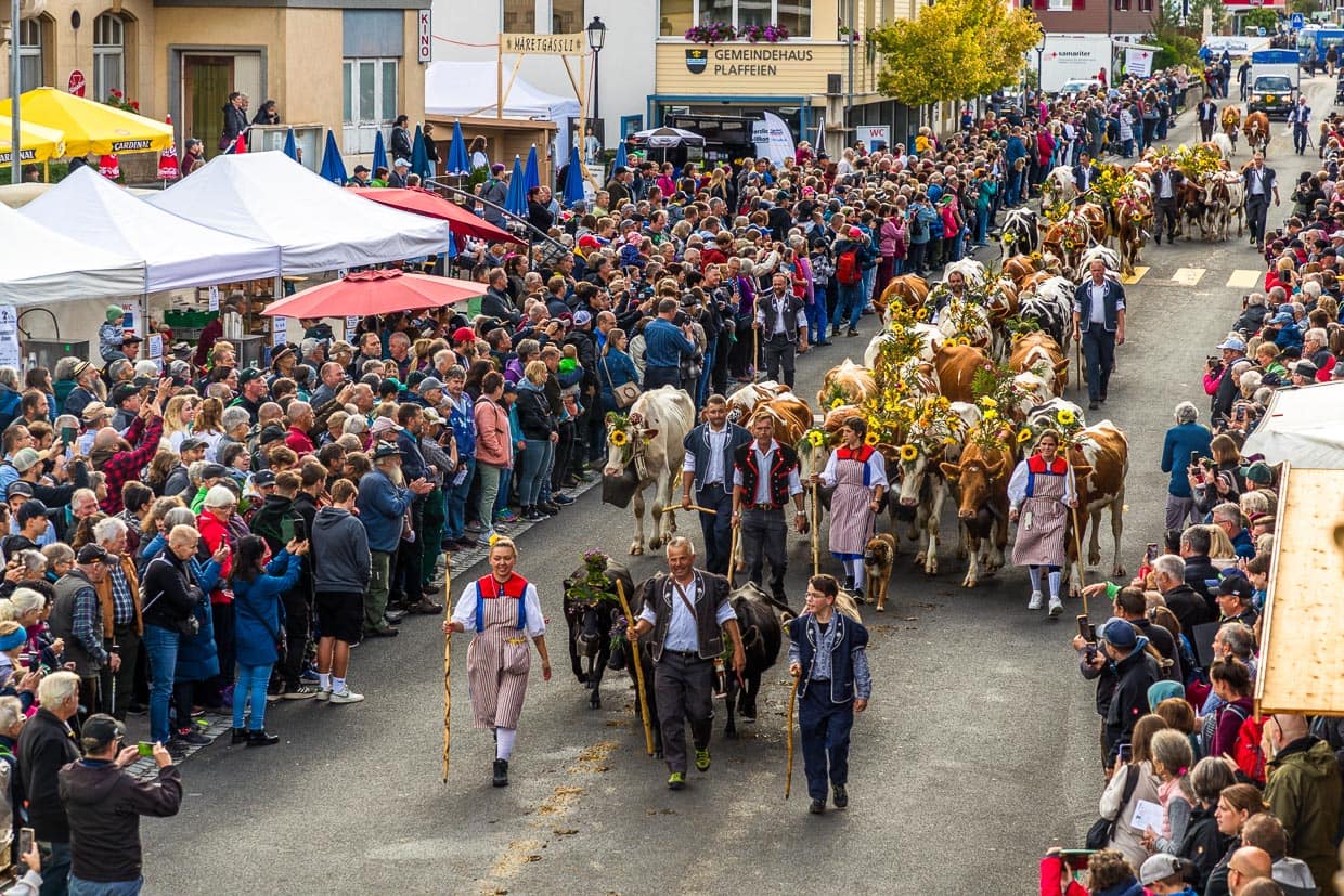 Alpabzug in Plaffeien, Kanton Freiburg. Ankunft der Hirtenfamilien mit ihren Herden. Es herrscht Volksfeststimmung. Auf den Bühnen entlang der Hauptstraße wird schon am Morgen Musik gespielt / © Foto: Georg Berg