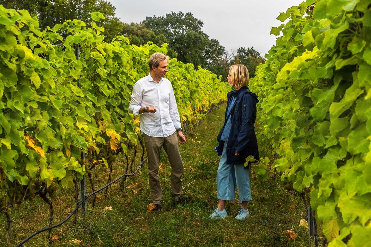 Johan Öberg muestra a la periodista gastronómica Angela Berg las cepas de Pinot Noir que empezaron a cultivar en el viñedo Thora en 2014 / © Foto: Georg Berg
