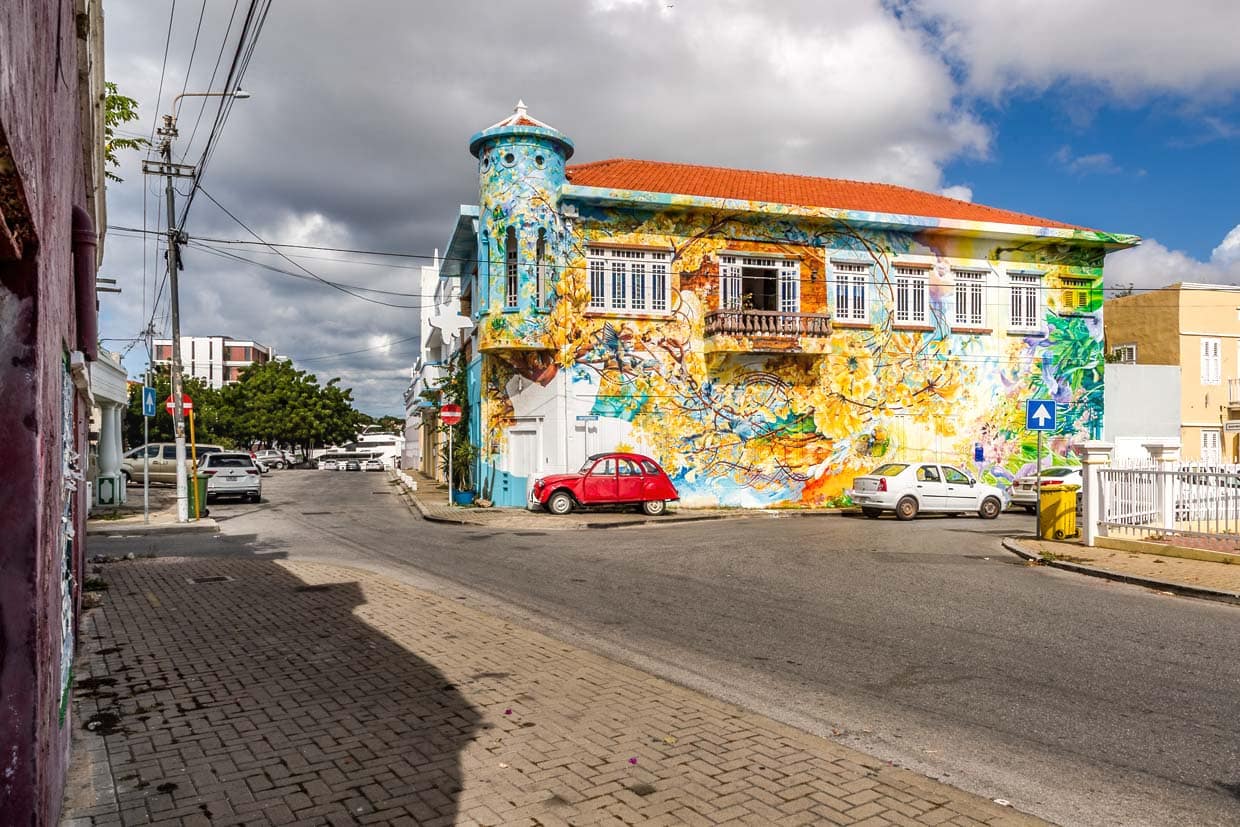 La casa del artista Francis Sling está pintada con un colorido motivo que combina la belleza y el caos de la vida. Se llama
