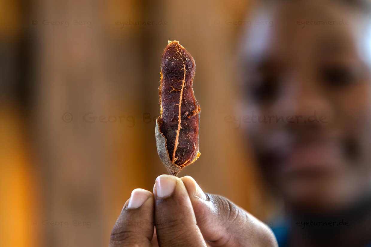 La pulpa ácida del tamarindo es popular en Curaçao como ingrediente en comidas y bebidas
