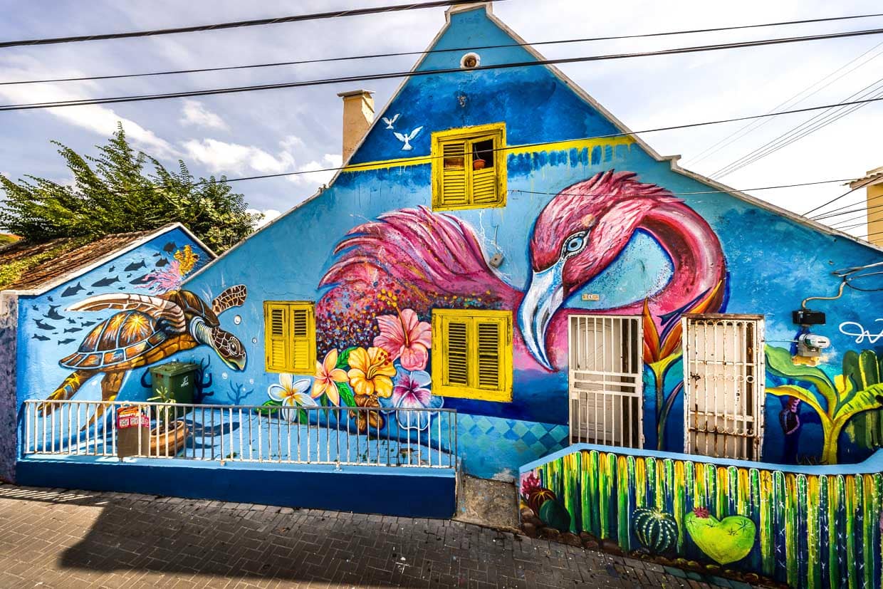 Tortuga carey y flamenco en un mural de Wendy Ganzeboom en un asentamiento en Curaçao / © Foto: Georg Berg