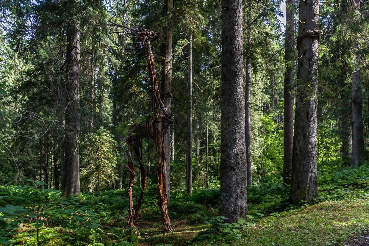 Waldschreiter von Gedeon Regli und Fabienne Baumann, filigrane Holzfragmente bilden einen großen aber grazilen Körper, ein Wesen aus einer anderen Welt. Jedes Stück Holz trägt Spuren von Wasser, Wind und Zeit. Landart Pfad Gerschnialp in Engelberg 2025 / © Foto: Georg Berg