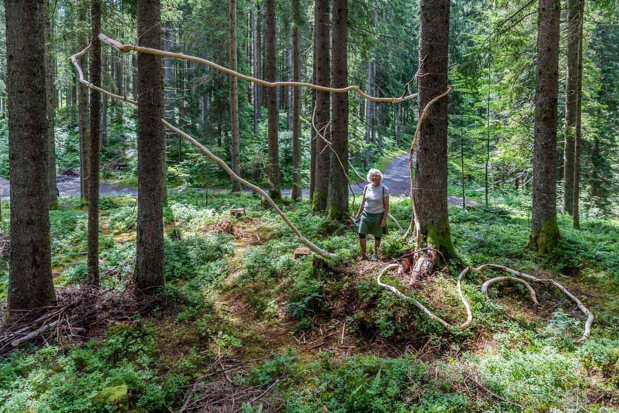 Claudia Häusler, Kuratorin des Landart Pfads Gerschnialp, Engelberg an einem von 13 Naturkunstwerken der Austellung 2025 mit dem Titel „Ausblick - Einsicht“ / © Foto: Georg Berg
