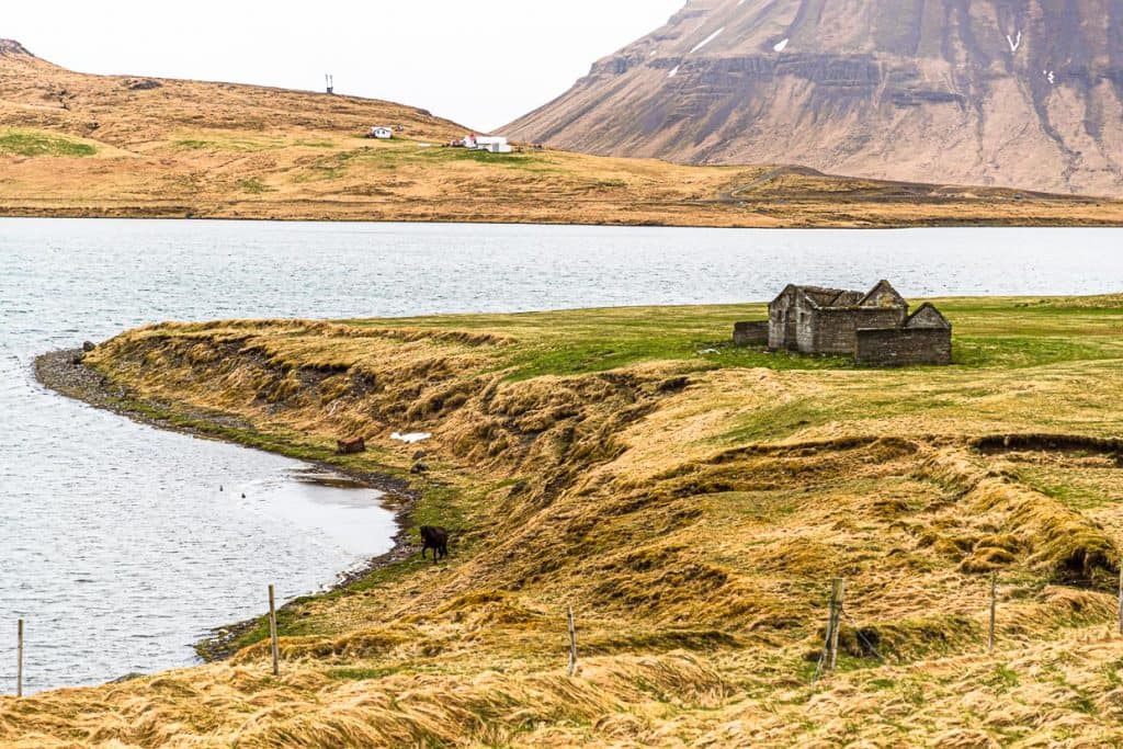 Einsam liegt das Hai-Museum Bjarnahöfn auf der Halbinsel Snæfellsness rund 170 Km von Reykjavik / © Foto: Georg Berg