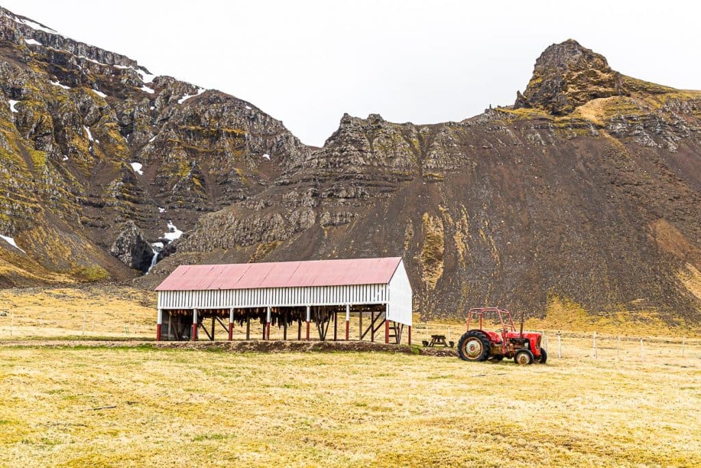 Trockenhaus für Hákarl, fermentierter Grönlandhai und isländische Spezialität, Hai Museum Bjarnahöfn / © Foto: Georg Berg