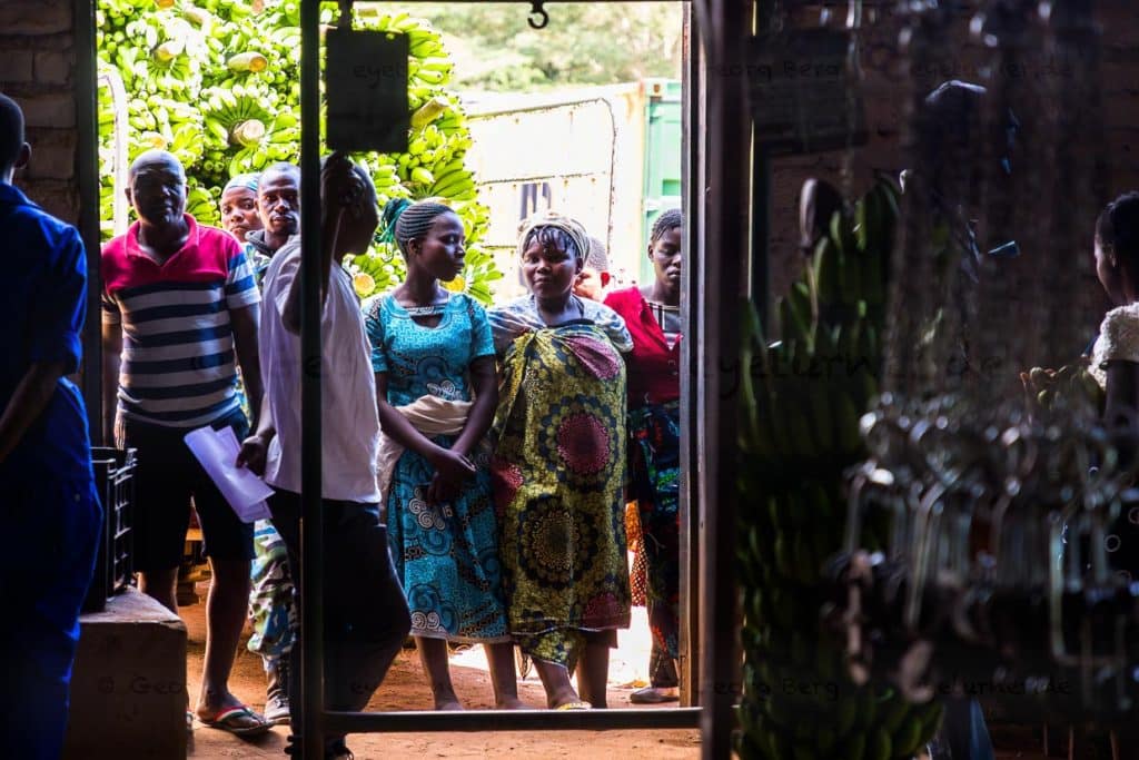 Lokale Händler warten auf die Ausgabe ihrer Bestellungen. Nature's Gift Bananas auf dem Kumbali Estate in Lilongwe, Malawi / © Foto: Georg Berg