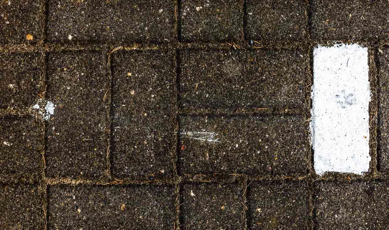 Katzenpfote auf frisch gestrichenem Asphalt / © Foto: Georg Berg
