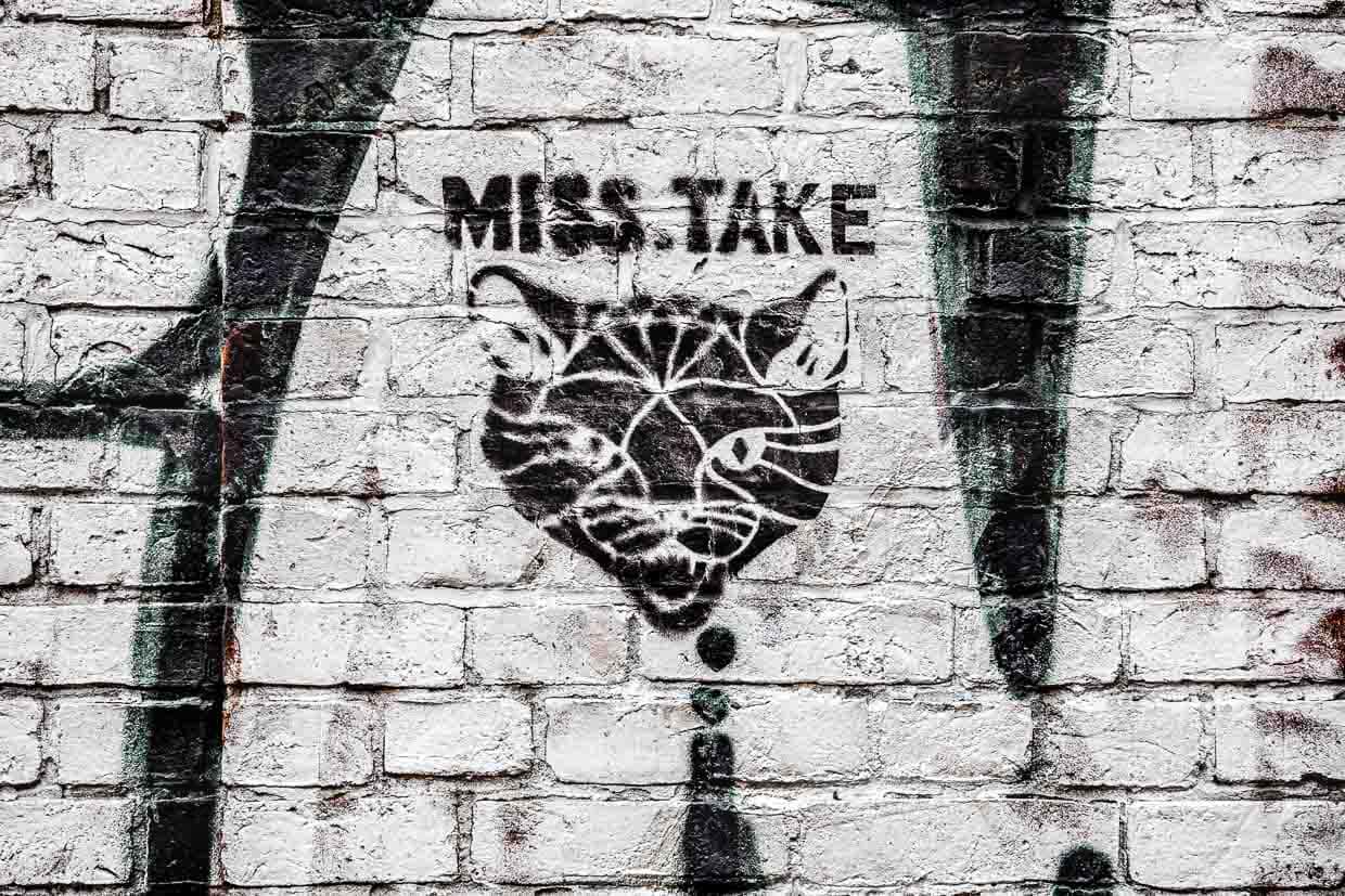 Worauf spielt dieses Katzengraffiti an? Die Raubkunst der Katzen oder darauf, dass die vielen Katzenfotos im Internet ein Fehler sind? / © Foto: Georg Berg