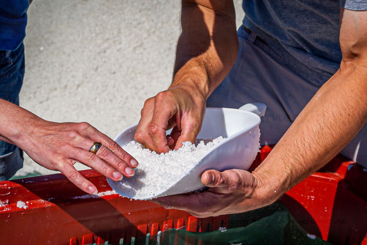 Salzbauer Matthieu zeigt die feine Struktur des Fleur de Sel / © Foto: Georg Berg