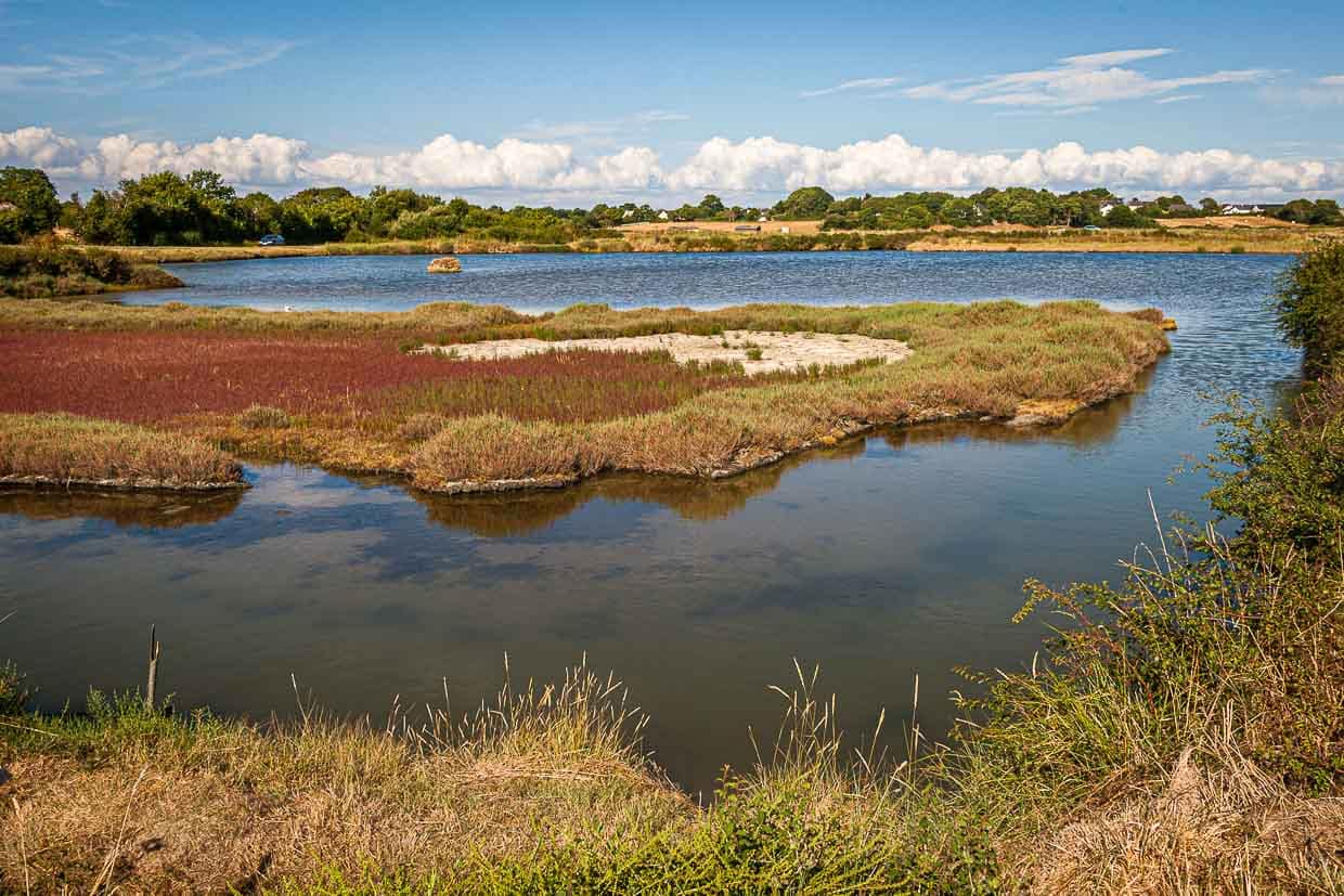 Jedes Mal bei Neumond ist die Flut besonders hoch und füllt das erste Reservoir / © Foto: Georg Berg