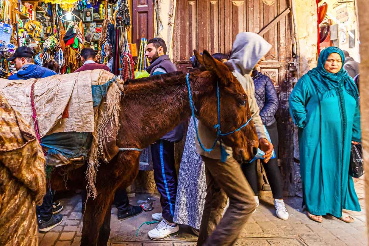 Ein unbeladener Esel strebt mit seinem Führer in Richtung einer der Stadttore. Einfache Orientierungsregel in der Medina: Esel ohne Ladung verlassen die Altstadt, schwer beladene Eselrücken zeigen einem den Weg in die Altstadt hinein / © Foto: Georg Berg
