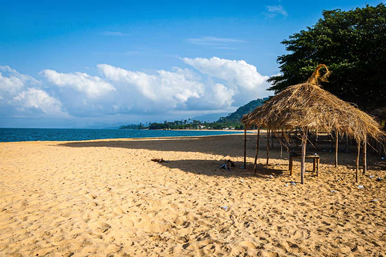 An den Küsten reicht der Regenwald bis an die herrliche Strände / © Foto: Georg Berg