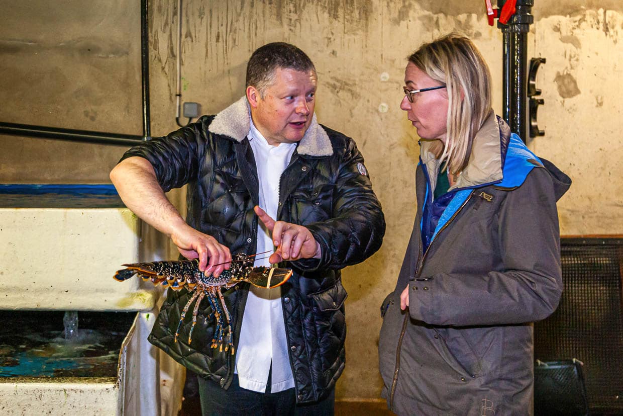Der Sternekoch Loïc Le Bail krempelt selbst die Ärmel hoch und greift ins Hummerbecken / © Foto: Georg Berg