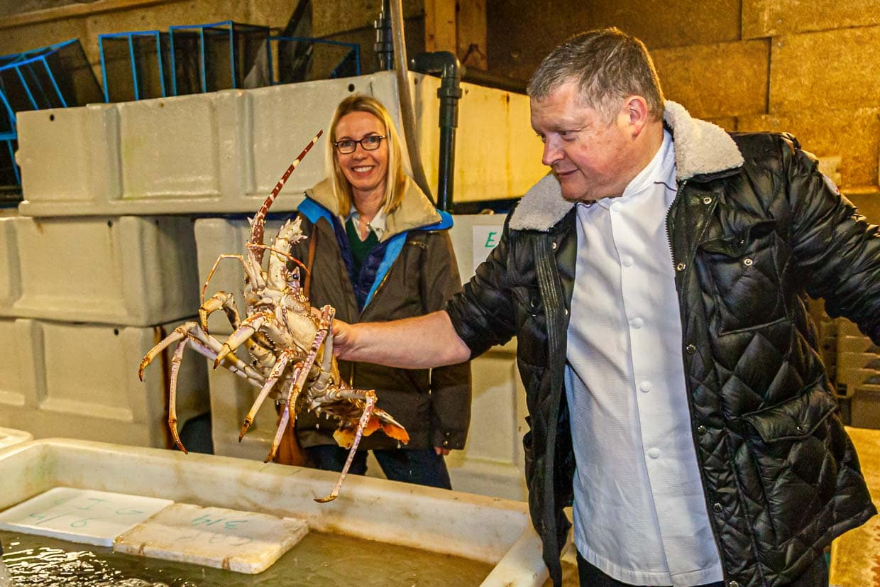 Die Langusten sind nicht nur frisch, sie schlagen auch sehr energisch mit dem Schwanz / © Foto: Georg Berg