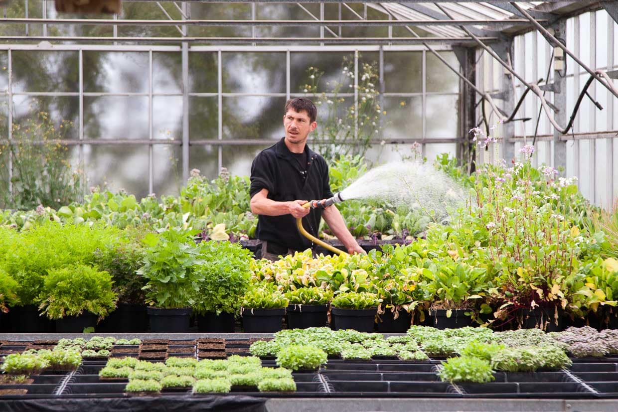 Patrice Mallegol wässert jede einzelne Pflanze / © Foto: Georg Berg