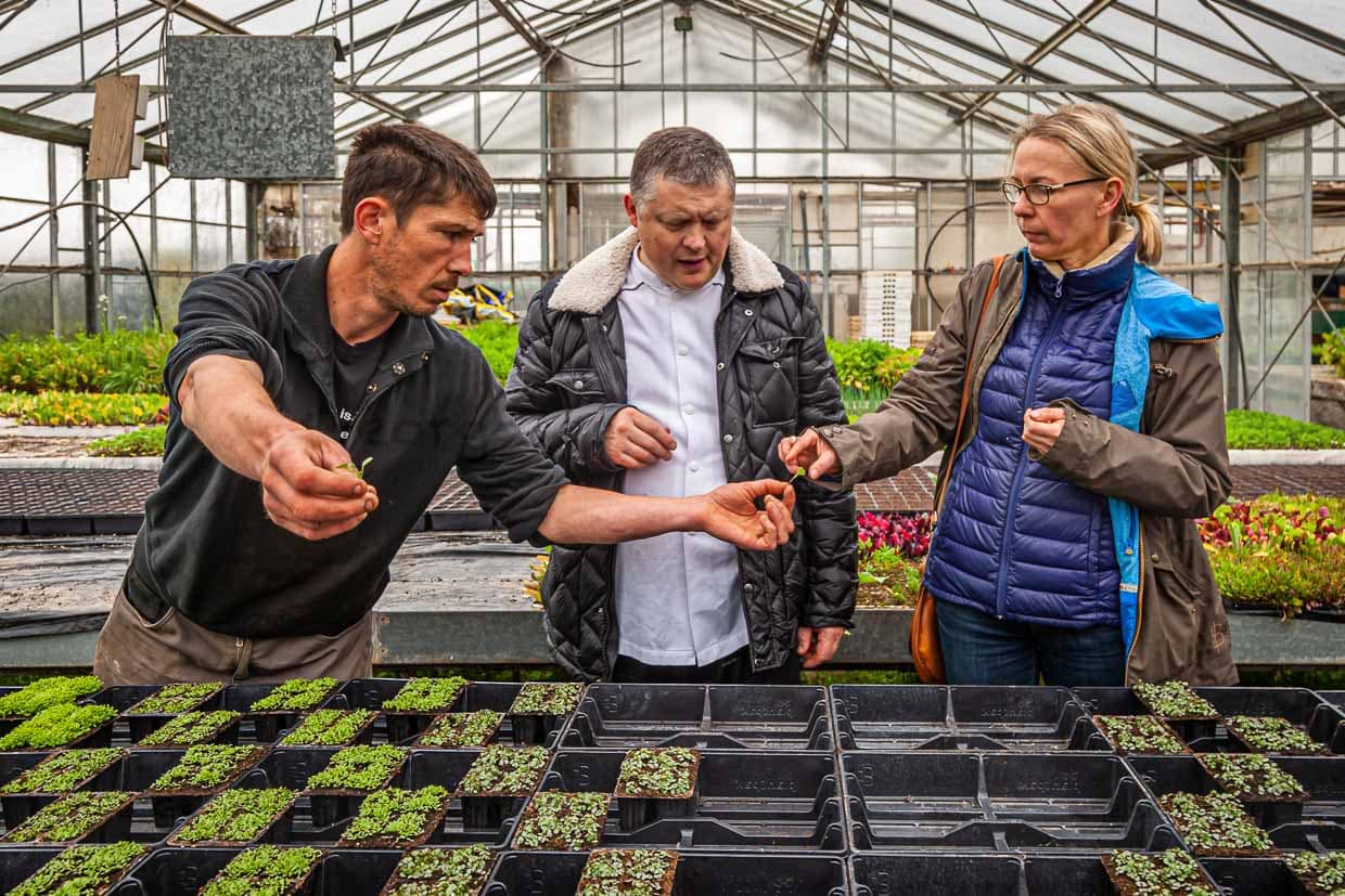 Patrice Mallegol läd Loïc Le Bail und Angela Berg zur Kräuterdegustation / © Foto: Georg Berg