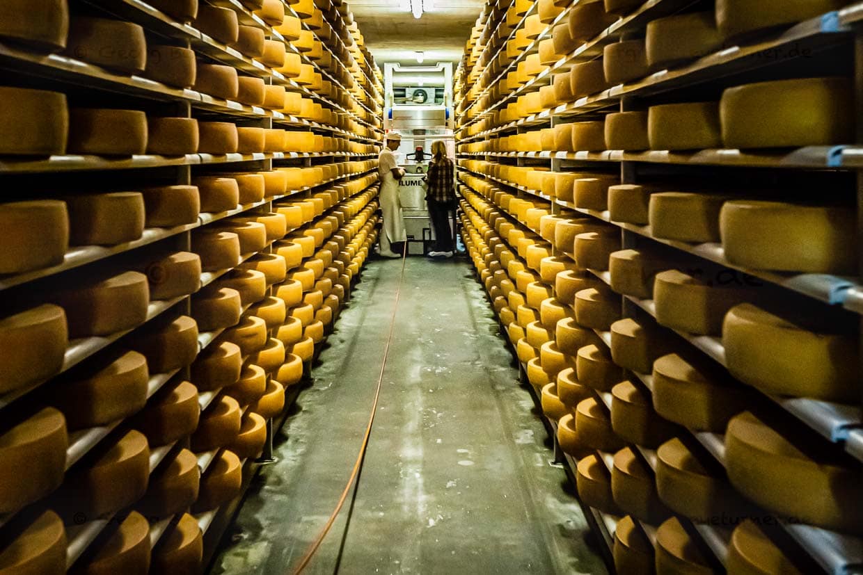 Goldene Zeiten: in der Schatzkammer der Sennerei Hittisau! / © Foto: Georg Berg