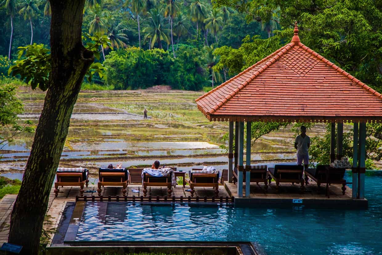 Vom Swimmingpool hat man freien Blick auf die Reisfelder / © Foto: Georg Berg