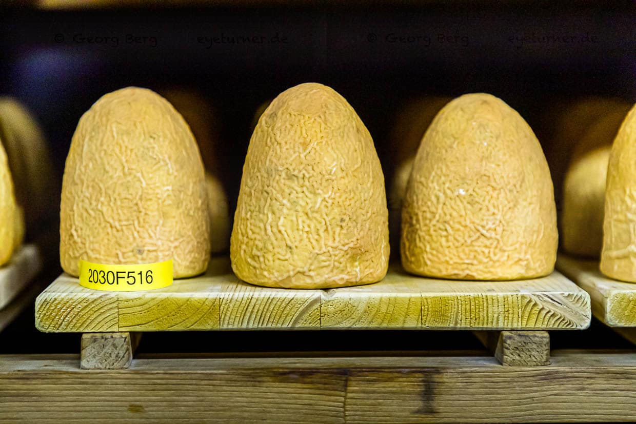 Zincarlin im Felsenkeller. Hier lagern drei Altersstufen. Die Käsekegel werden zwei Monate lang beinahe täglich mit Weisswein abgewaschen / © Foto: Georg Berg