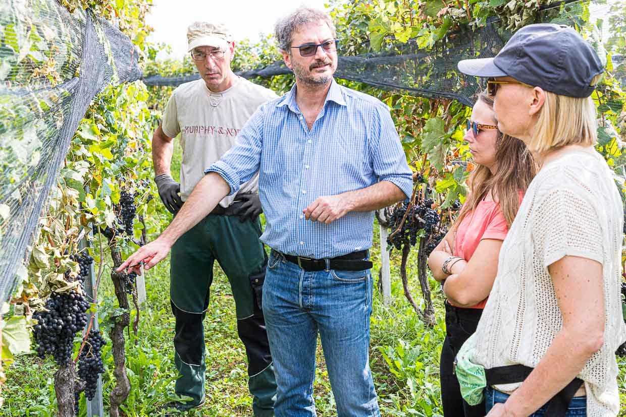 Carlo Crivelli ist Direktor der Enoteca Borgovecchio und ein großer Fan von Scudellate. Daher engagiert er sich neben vier weiteren Personen für ein Albergo Diffuso in Scudellate / © Foto: Georg Berg