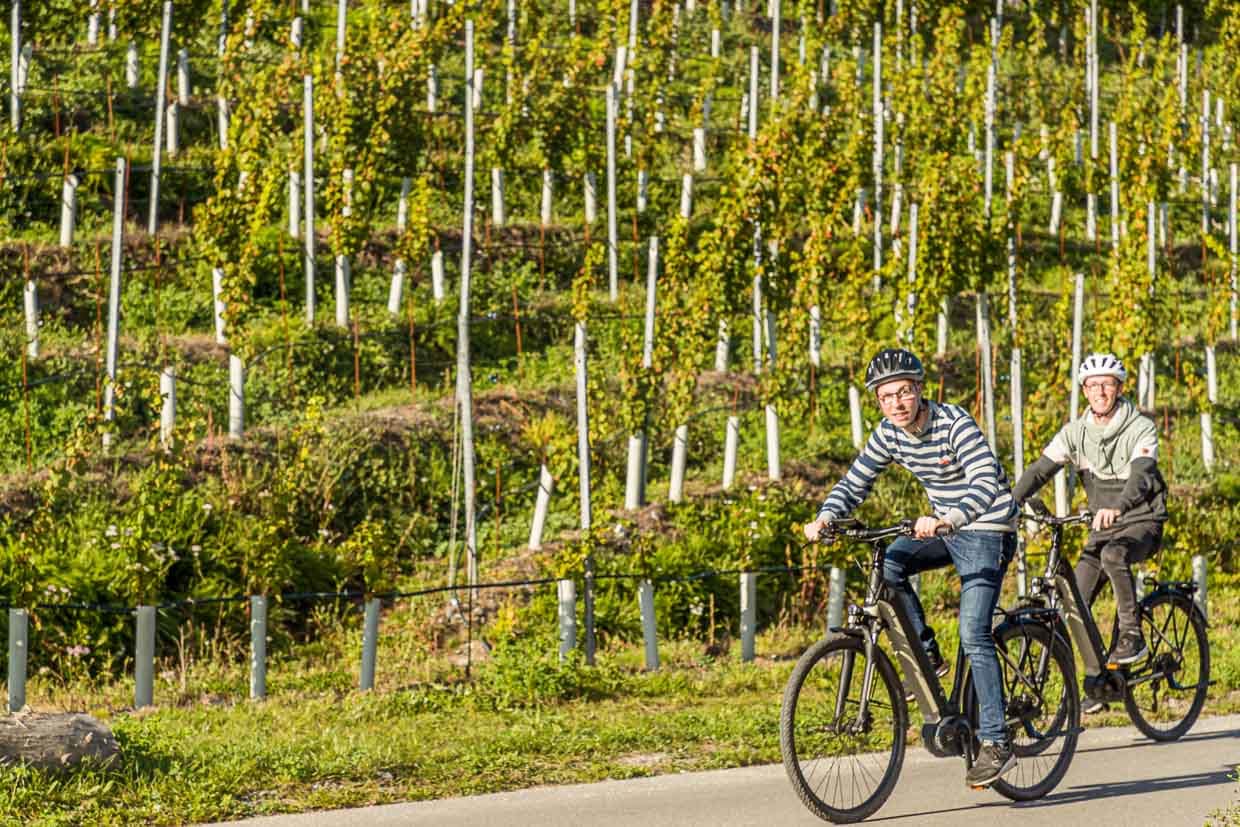 Mit den E-Bikes durch die Weinberge. Les Cellliers de Sion bietet Picknicks und Degustationen an / © Foto: Georg Berg