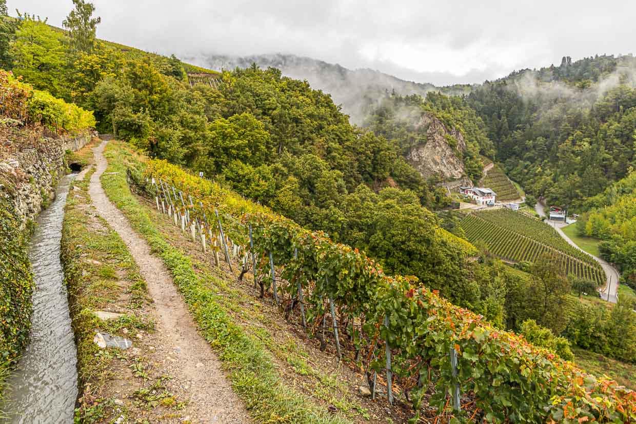 Suonen sind die Antwort der Walliser auf das extrem trockene Mikroklima im Rhonetal. So können Bauern und Winzer die Bewässerung ihrer Felder sicherstellen / © Foto: Georg Berg