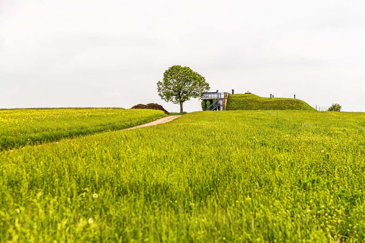 Kurze Geschichtslektion am Napoleonsknäppchen. Hier wurde 1811 zu Ehren der Geburt von Napoleons Sohn ein Baum gepflanzt / © Foto: Georg Berg