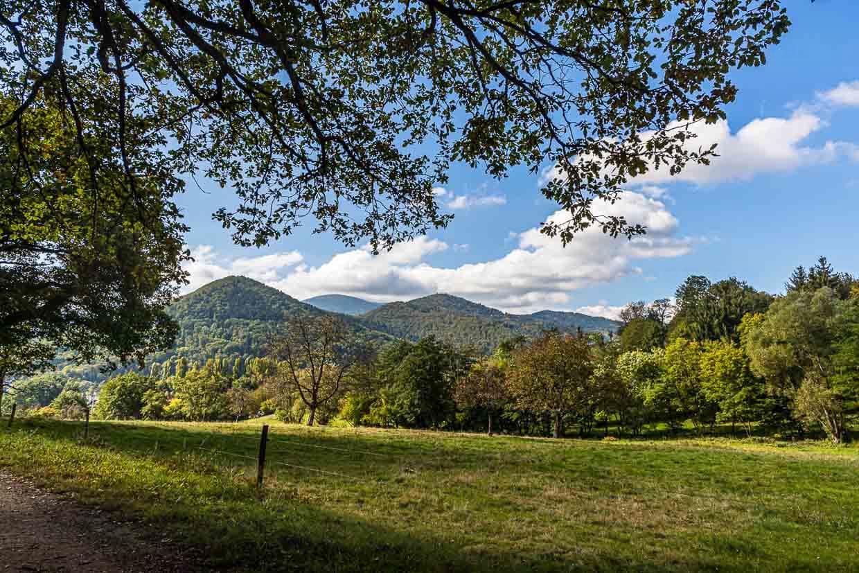 Das Elsass besteht nicht nur als alten Städten und Weinbergen. Die Berglandschaft der Vogesen steht im Mittelpunkt der Wanderungen von Hotel zu Hotel / © Foto: Georg Berg