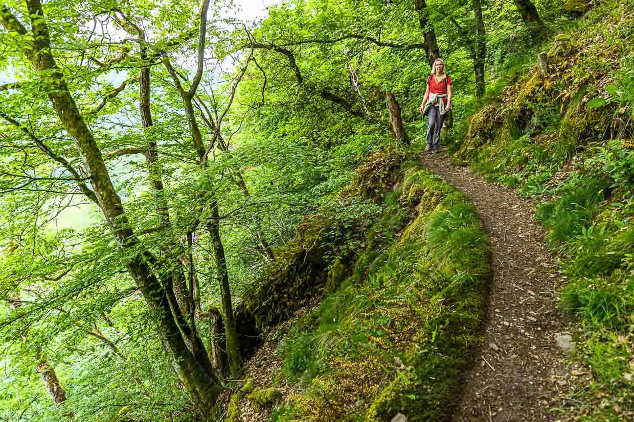 Von Norden bis Süden durchziehen wunderschöne Wanderrouten und Rundwanderwege die abwechslungsreiche Landschaft Luxemburgs
