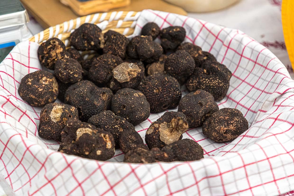 Schwarzer Trüffel, Wintertrüffel, Frankreich, Region Var, Tuber Melanosporum, Preis pro Kilo zwischen 600 und 1.000 Euro / © Foto: Georg Berg
