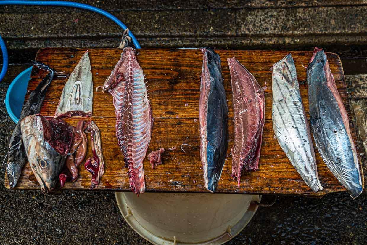 Fein säuberlich zerlegt: An den vier Filets kann man jetzt schon die spätere Form des Honkare-Katsuobushi erkennen. Durch die mehrstufige Trocknung wird das Endprodukt viel kleiner sein. Auch alle anderen Teile des Fisches werden verwertet / © Foto: Georg Berg
