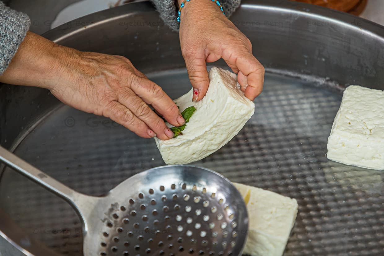 Die gekochten und gesalzenen Hellim-Stücke werden mit frischer Minze eingerieben. Zubereitung der Käsespezialität Hellim bzw Halloumi in Akdemiz, Nordzypern / © Foto: Georg Berg