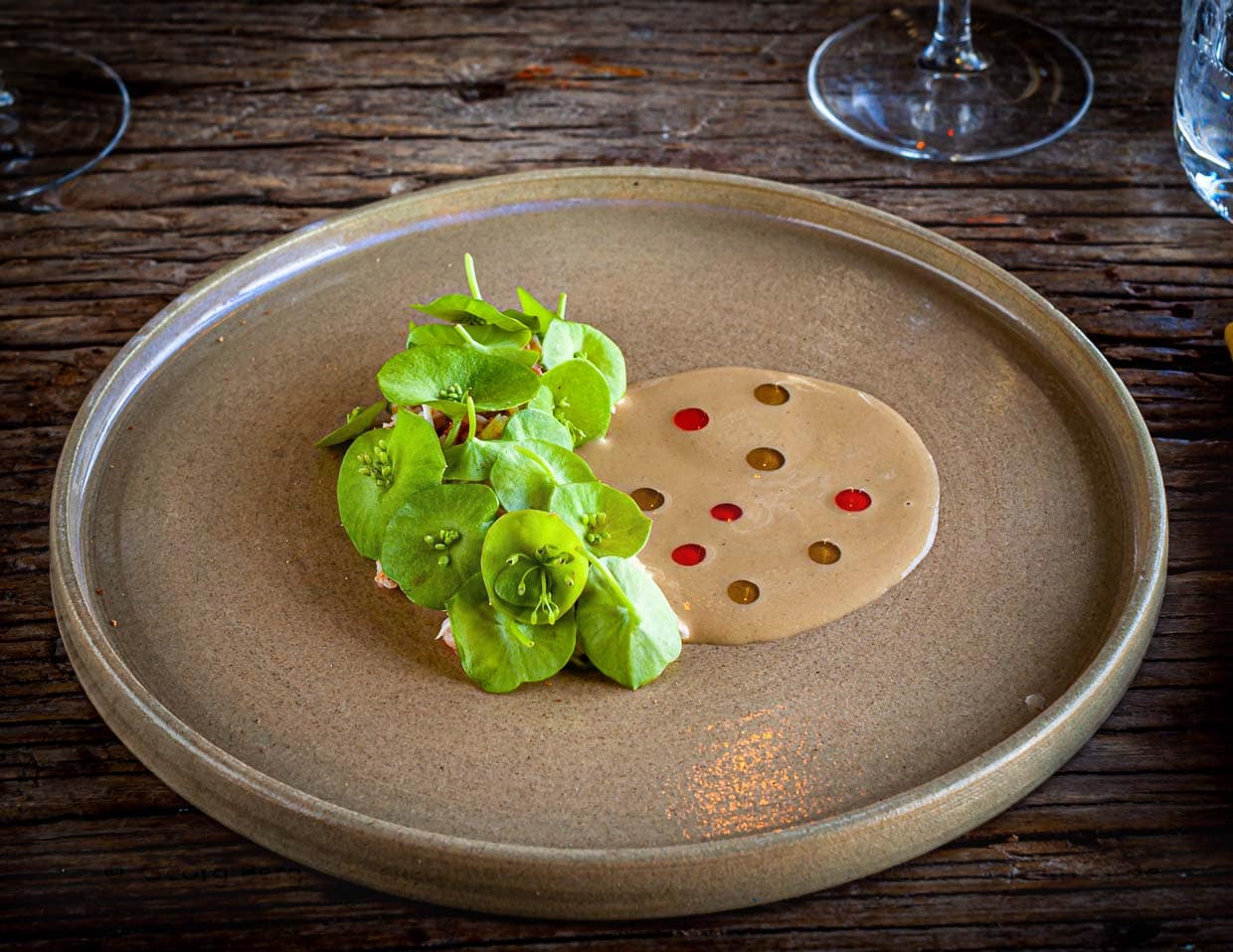Unter dem grünen Deckmäntelchen verbirgt sich Krabbenfleisch aus dem Kopf der Spinnenkrabbe. Die Soße ist verfeinert mit Mandel- und Pistazienöl / © Foto: Georg Berg