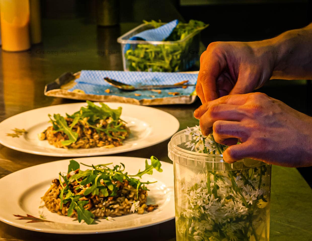 Frisch aus dem Garten: das üppige Blütenmeer des Bärlauch wird als frische Würzkomponente auf dem Pilzrisotto serviert / © Foto: Georg Berg