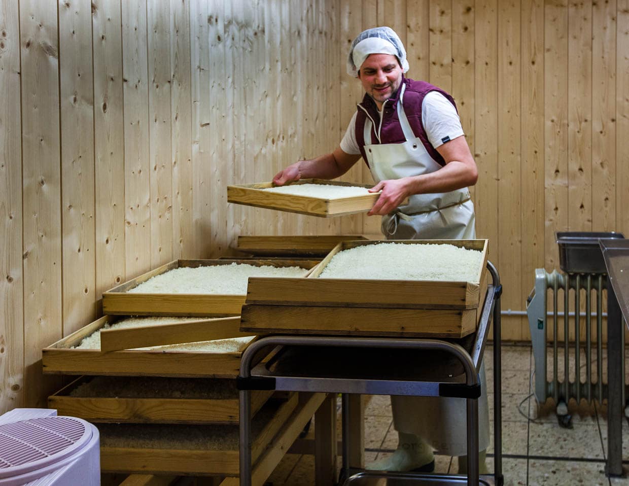 Hier fühlt sich der Koji-Pilz so richtig wohl – in einer Art Sauna lässt Peter Koch ihn auf Reis aus der Po-Ebene gedeihen / © Foto: Georg Berg