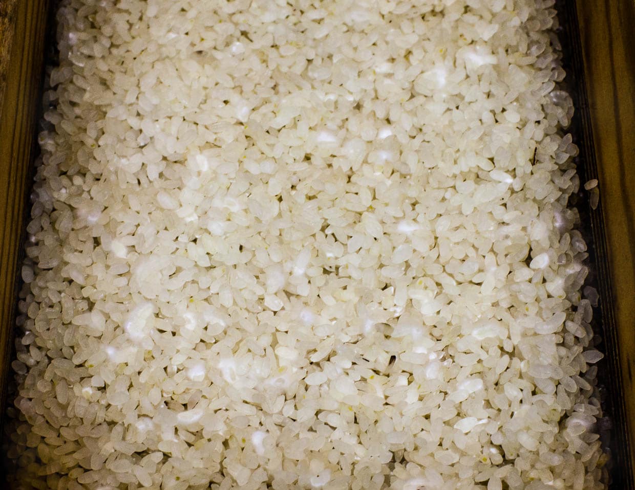 Im Reis beginnt der Kojipilz zu sprießen / © Foto: Georg Berg