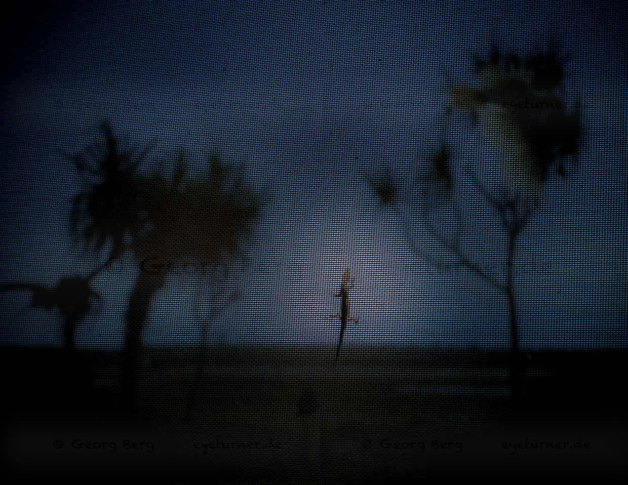 An der Wand erkennt man den Grund, warum in der Nacht keine Mücke lästig geworden ist: Zufrieden wandert ein Gecko über das von außen unsichtbare Fliegengitter, aus dem die ganze Wand besteht / © Foto: Georg Berg