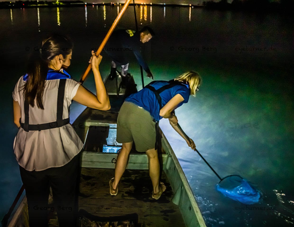 Fische können auch mit einem Kescher gefangen werden / © Foto: Georg Berg