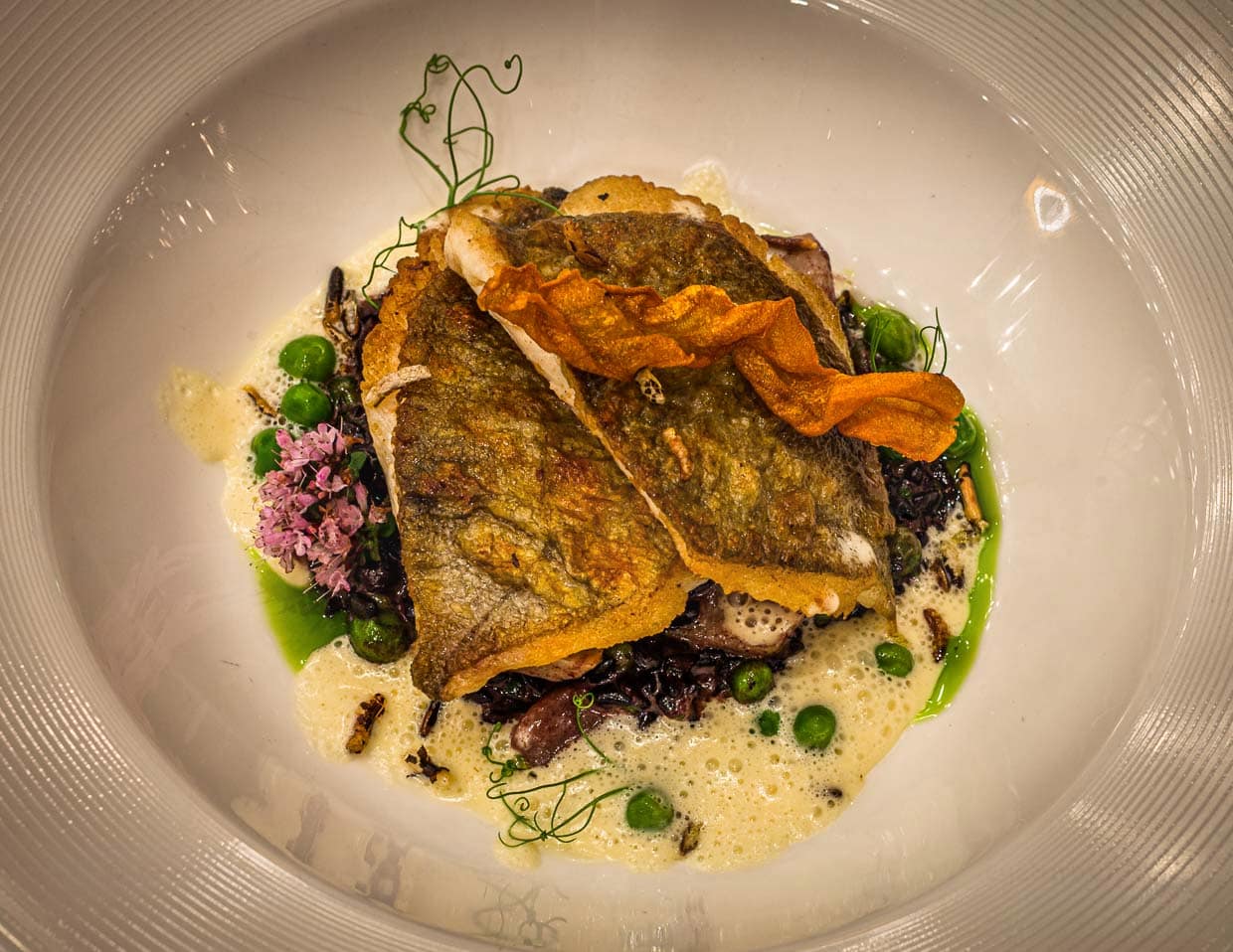Extrem knuspriger St. Petersfisch, auf englisch John Dory genannt, an Risotto aus schwarzem Reis mit Artischockenböden, Erbsen und Weißwein-Sauce / © Foto: Georg Berg