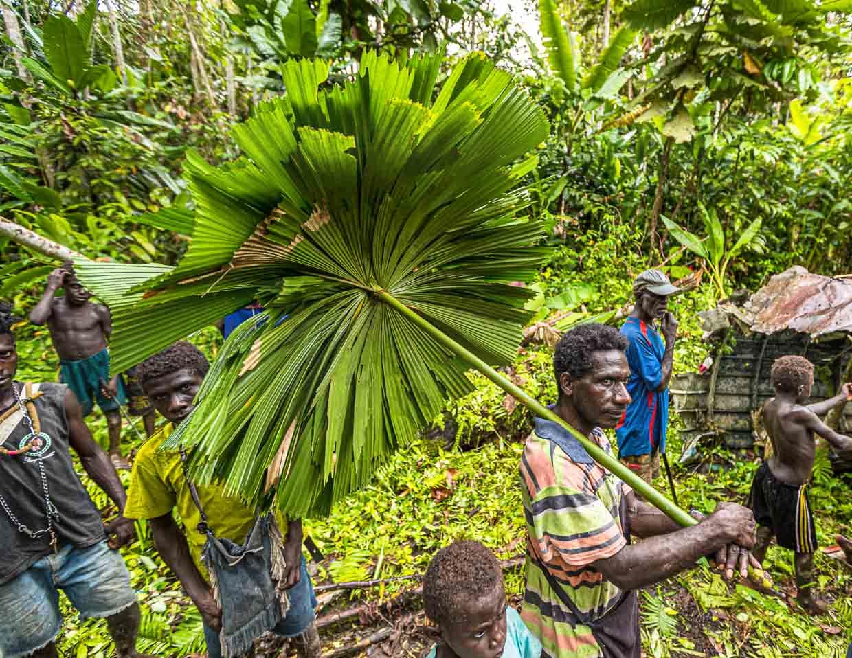 Wirkungsvoll: Regenschirm aus Blättern / © Foto: Georg Berg