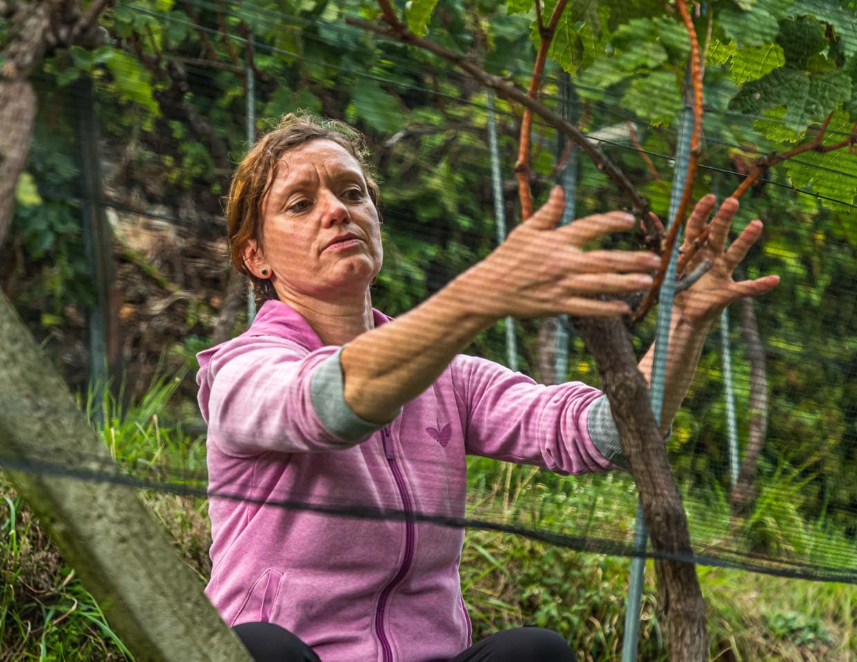 Sorgfältige, naturnahe Arbeit im Rebberg. Kerstin Bernardi erklärt den sanften Rebschnitt, auf den man in der Tenuta San Giogio derzeit umstellt / © Foto: Georg Berg