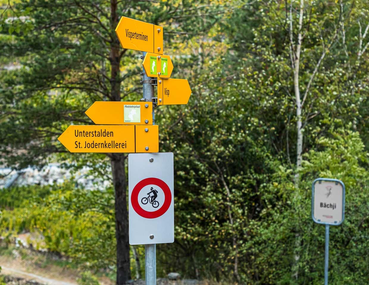 Der Reblehrpfad und der Tärbiner Kulturweg. Es spricht nichts dagegen, aber einiges dafür, ihn in beide Richtungen zu wandern. Ein Richtungswechsel ist auch immer ein Perspektivwechsel und unterwegs gibt es viel zu entdecken / © Foto: Georg Berg