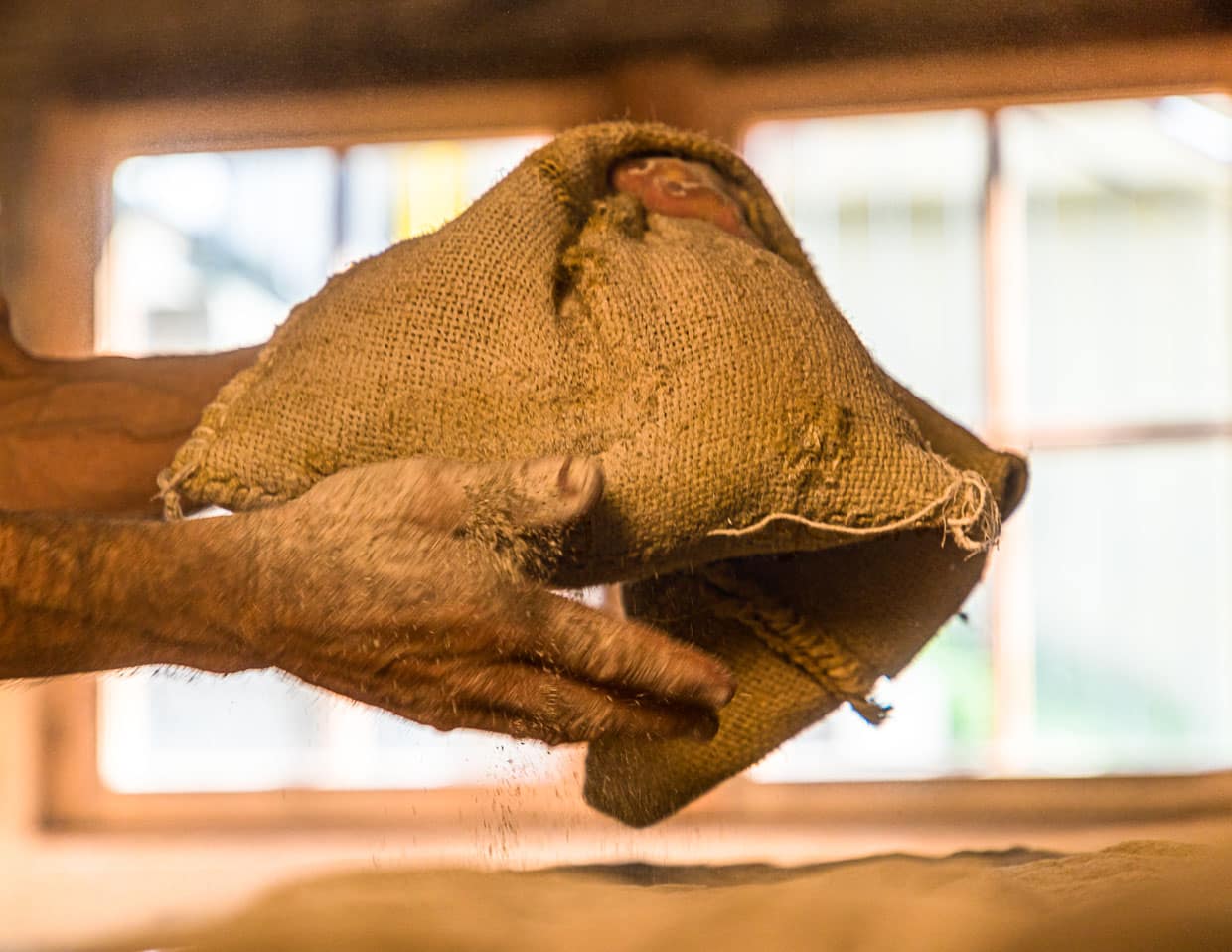 In der Backstube sind es jetzt 26 Grad, später im Ofen sogar 300 Grad. Daher ist es gut, wenn die Brotlaibe noch etwas Mehl an sich haben. So werden sie nicht sofort schwarz, erklärt Edmund Steiner und stäubt Mehl durch einen fast leeren Mehlsack auf die Teiglinge / © Foto: Georg Berg