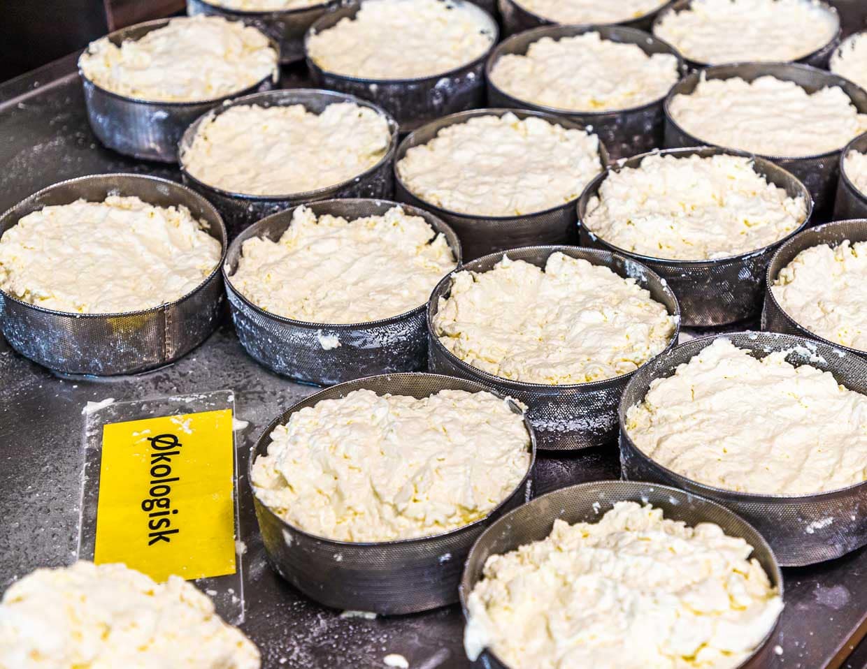 Rygeost ist ein Rauchkäse von der Insel Fyn in Dänemark. Vor dem Räuchern wird der Käsebruch zum Reifen in eine Form gefüllt / © Foto: Georg Berg