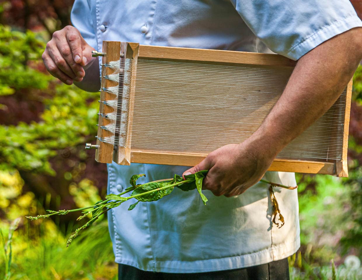 Wartungsarbeiten an der Carraturo sind nur das Strammziehen der Saiten