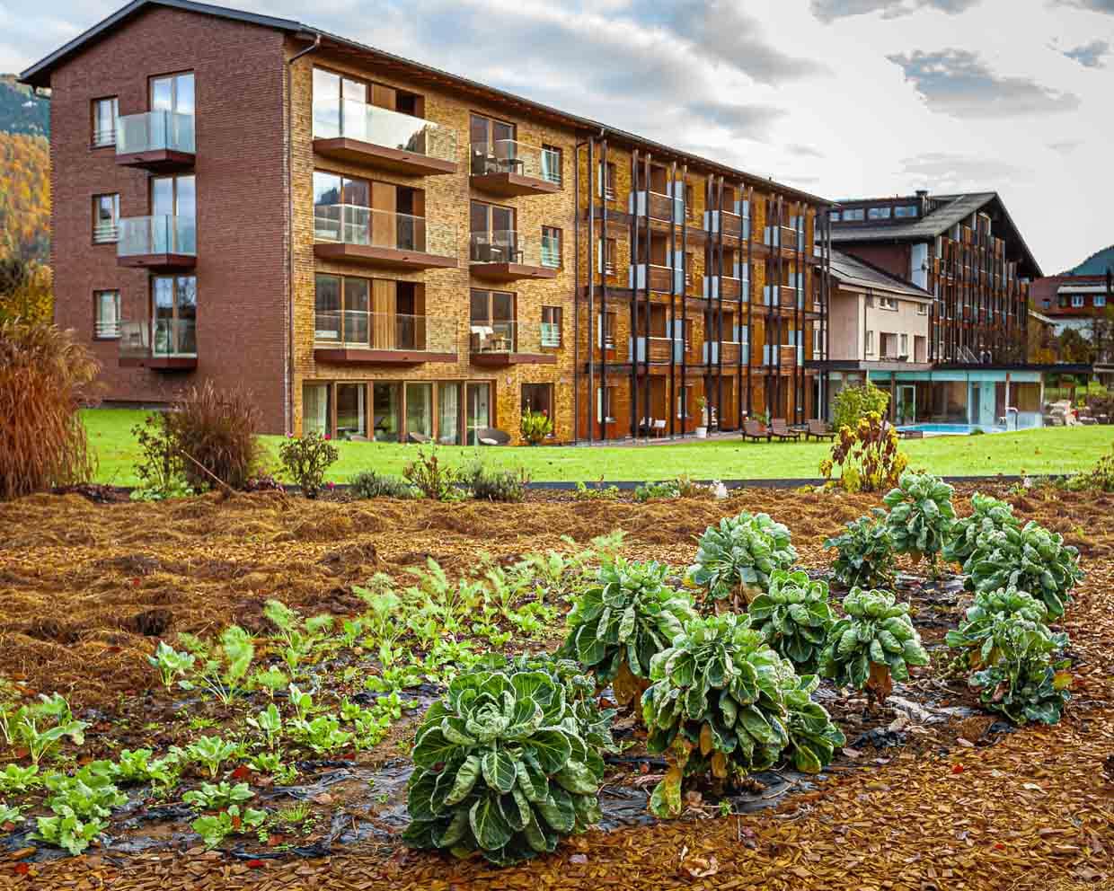 Direkt hinter dem Romantik-Hotel Schiff liegt der Demeter-Garten, aus dem das  frische Gemüse kommt / © Foto: Georg Berg