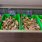 Frische Austern in Größen von Grad 1 bis Grad 4 in einem Fischgeschäft in der Bretagne / © Foto: Georg Berg
