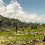 Ein Bauer steht an einer Blechhütte in den Reisfeldern auf der indonesischen Insel Flores / © Foto: Georg Berg